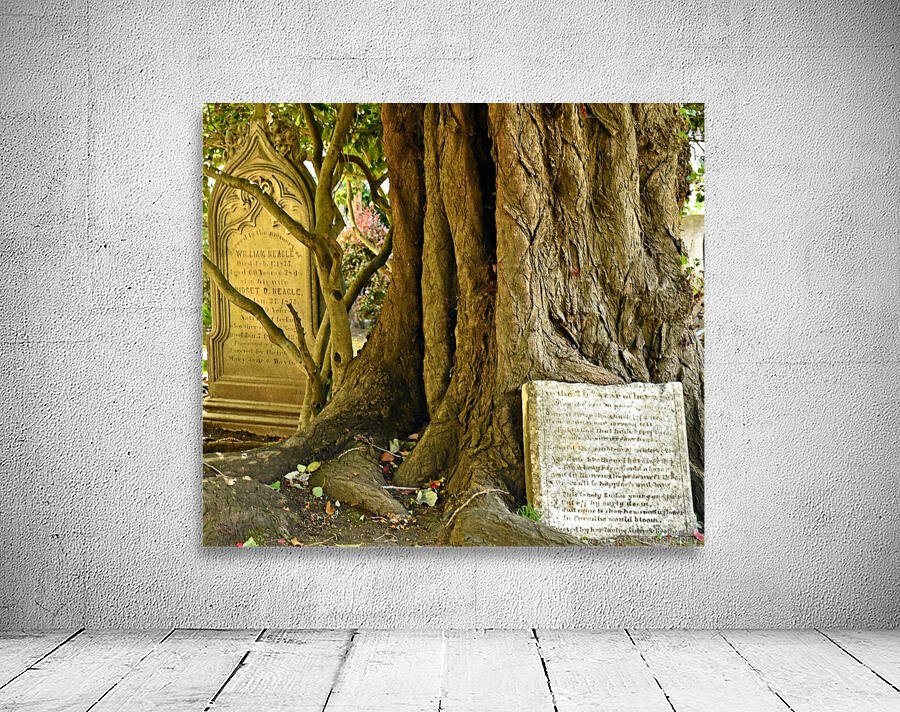 Grave Trees Wall Preview