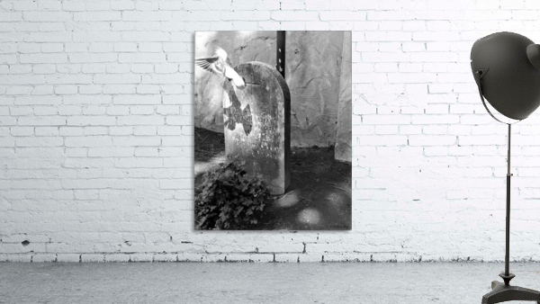Cemetery Bird Wall Preview