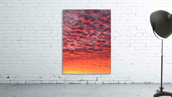 Pink Skies Wall Preview