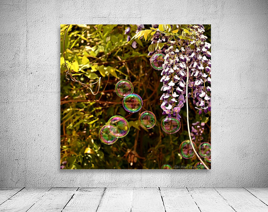 Bubbles in the Garden Wall Preview
