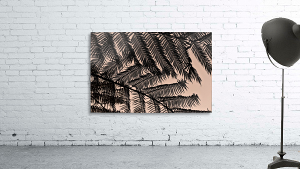 Big Ferns Wall Preview