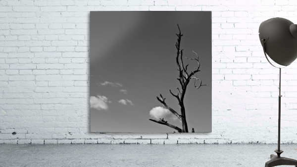 Stuck Cloud Wall Preview