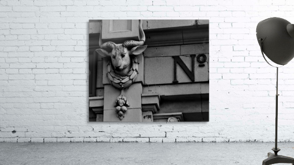 Goat Wall Preview