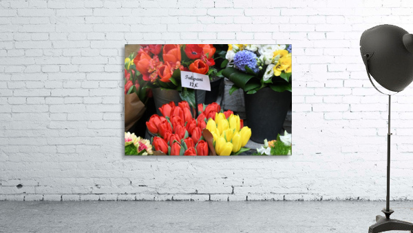 Tulipani Wall Preview