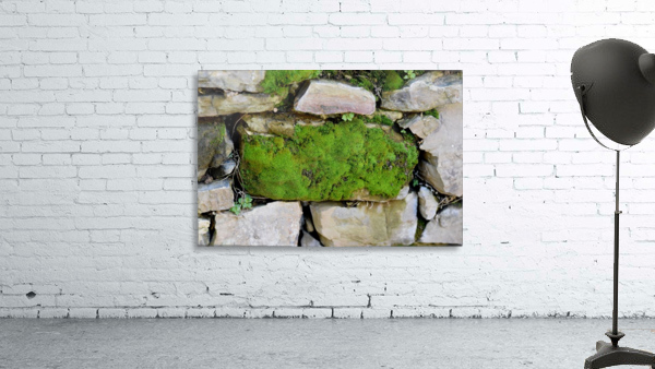 Mossy Stone Wall Preview