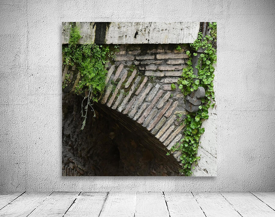Vines on A Wall Wall Preview