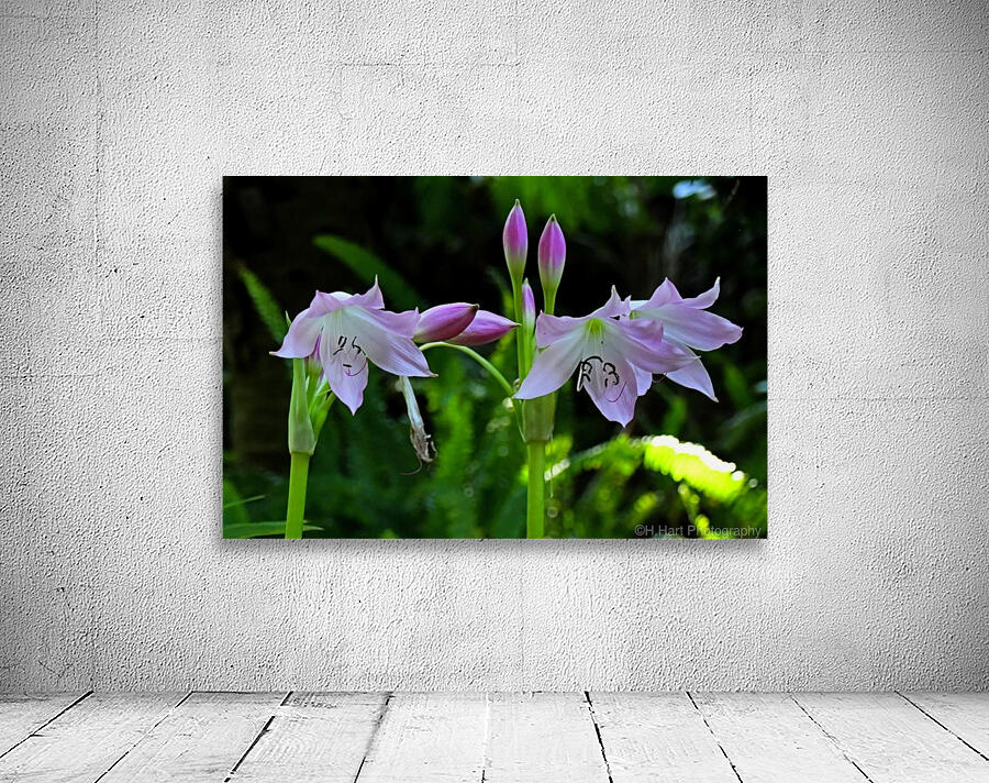 Pink Flowers Wall Preview