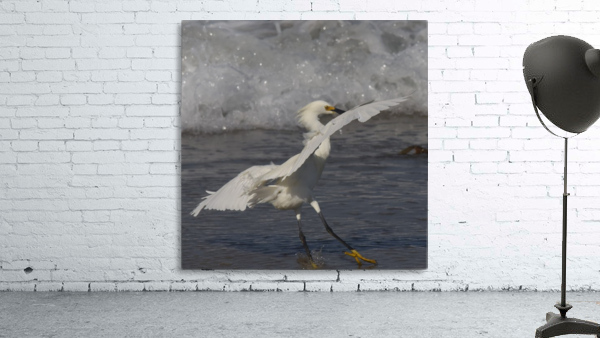 Herons and Egrets Wall Preview