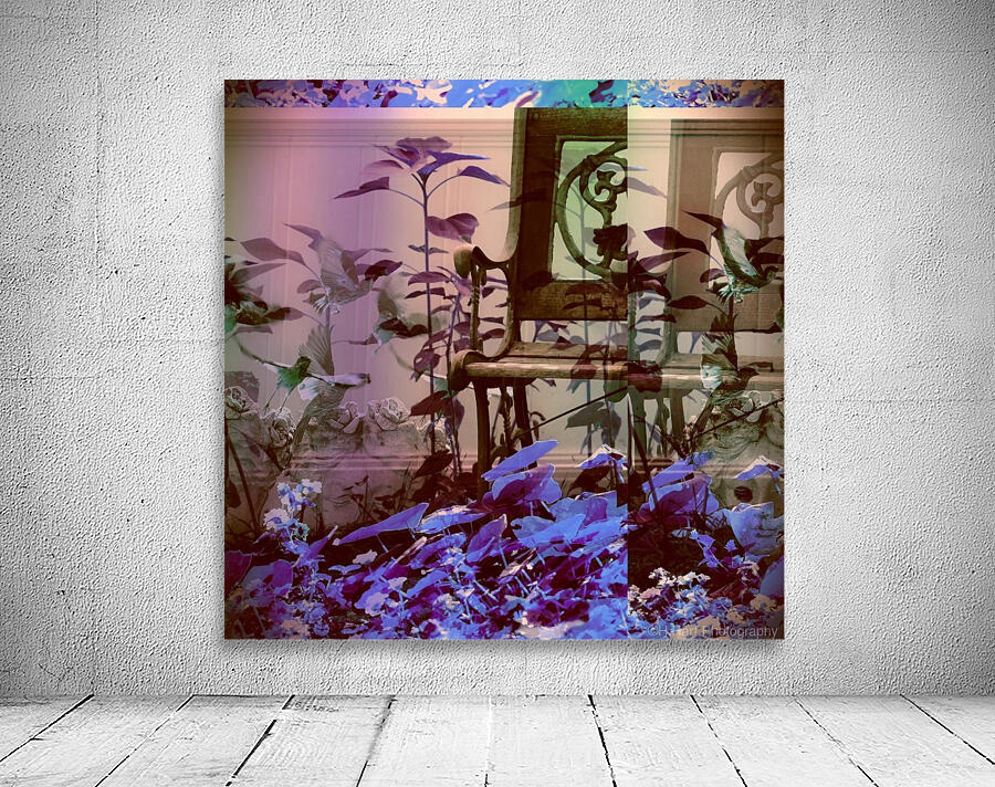 Holga Garden Wall Preview