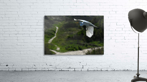 Egret 6 Wall Preview
