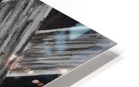 Gaze HD Metal print