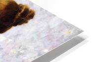 The Love Letter 2 HD Metal print