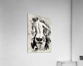 Hypocracy Acrylic Print