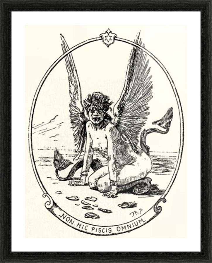 Rare fish Picture Frame print