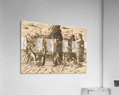 Entombment Acrylic Print