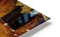 Carpet menders HD Metal print
