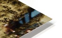 Paesaggio HD Metal print