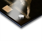 Crucifixion Acrylic print