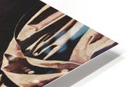 The Young Virgin HD Metal print