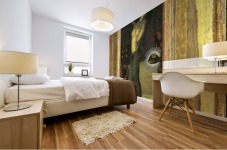 Salome I Mural print