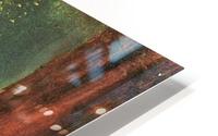 Danae HD Metal print