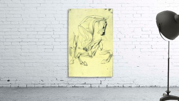 Horse study Wall Preview