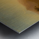 The Andes Metal print