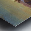 Cayambe Metal print