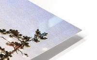 North Lake HD Metal print