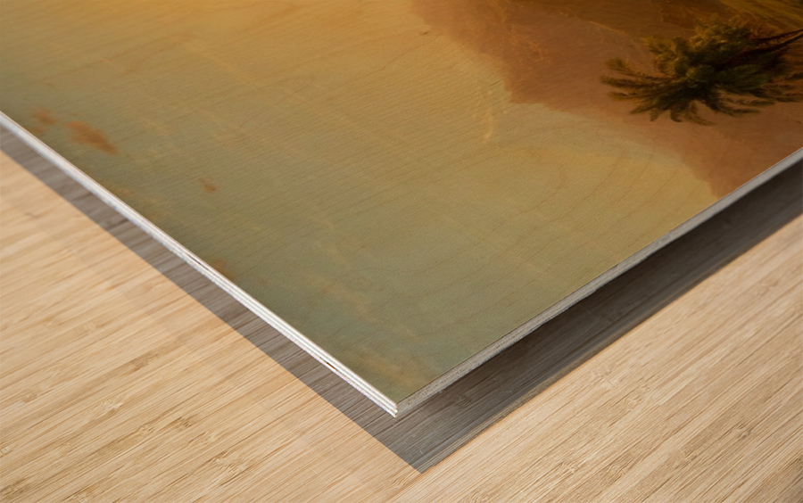 The Andes Wood print