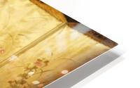 Vanita HD Metal print