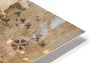 Fontaine devant la mosque HD Metal print