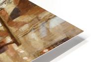 Before the Palace HD Metal print