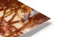 Campagne D Algiers HD Metal print