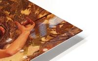 Spanish Lady HD Metal print