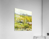 Woodland Pond Acrylic Print