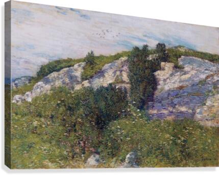 Ledges and Bay, Appledore Canvas Print