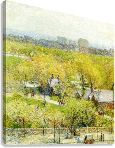 Woodland Pond Canvas Print