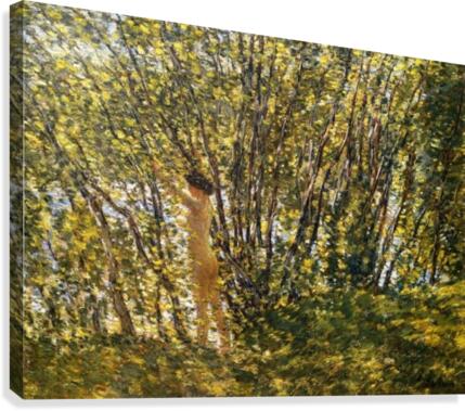 Stream in the Woods Canvas Print