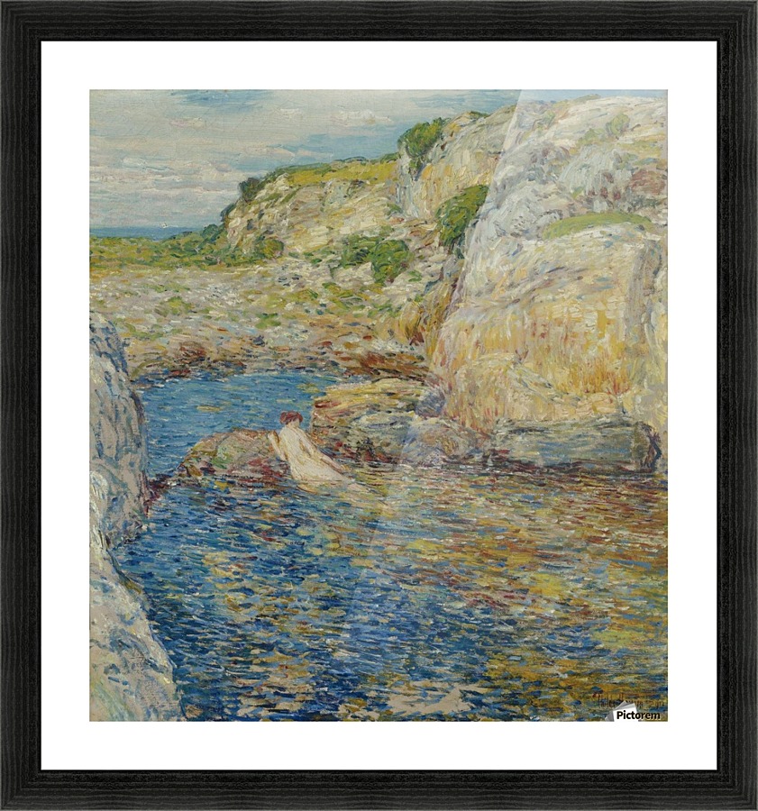 Rockweed Pool Picture Frame print