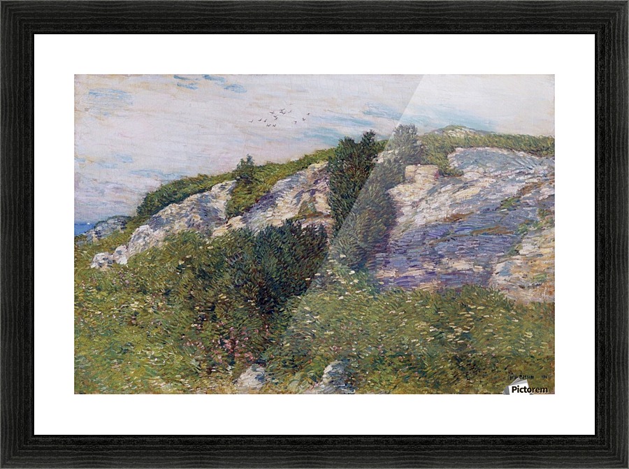 Ledges and Bay, Appledore Picture Frame print