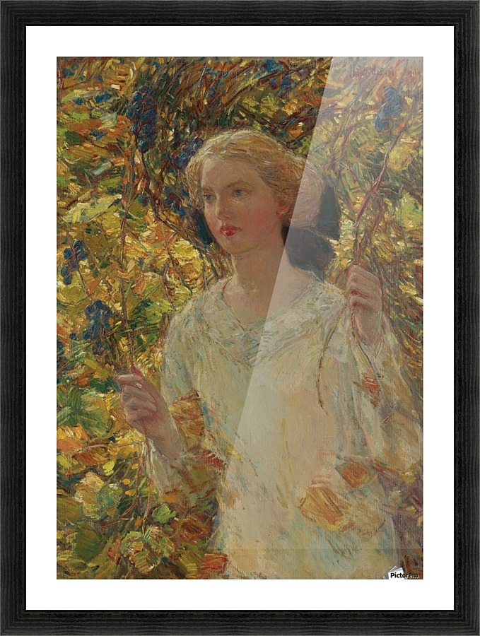 The Grapevine Picture Frame print