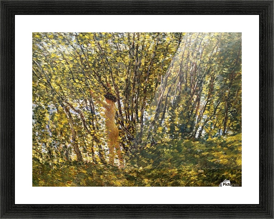 Stream in the Woods Picture Frame print