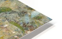 Rockweed Pool HD Metal print
