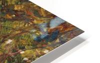 The Grapevine HD Metal print