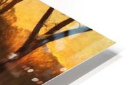Twilight after Rain HD Metal print