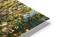 Stream in the Woods HD Metal print