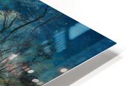 Moonlight in Beaulieu HD Metal print