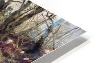 Elv HD Metal print