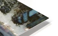Winter at the River Simoa HD Metal print